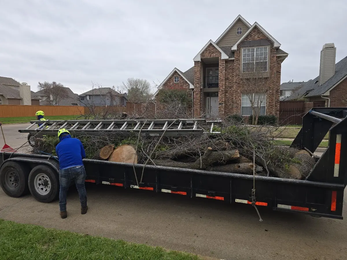 Expert Tree Pest Control with proper safety equipment in Arvilla
